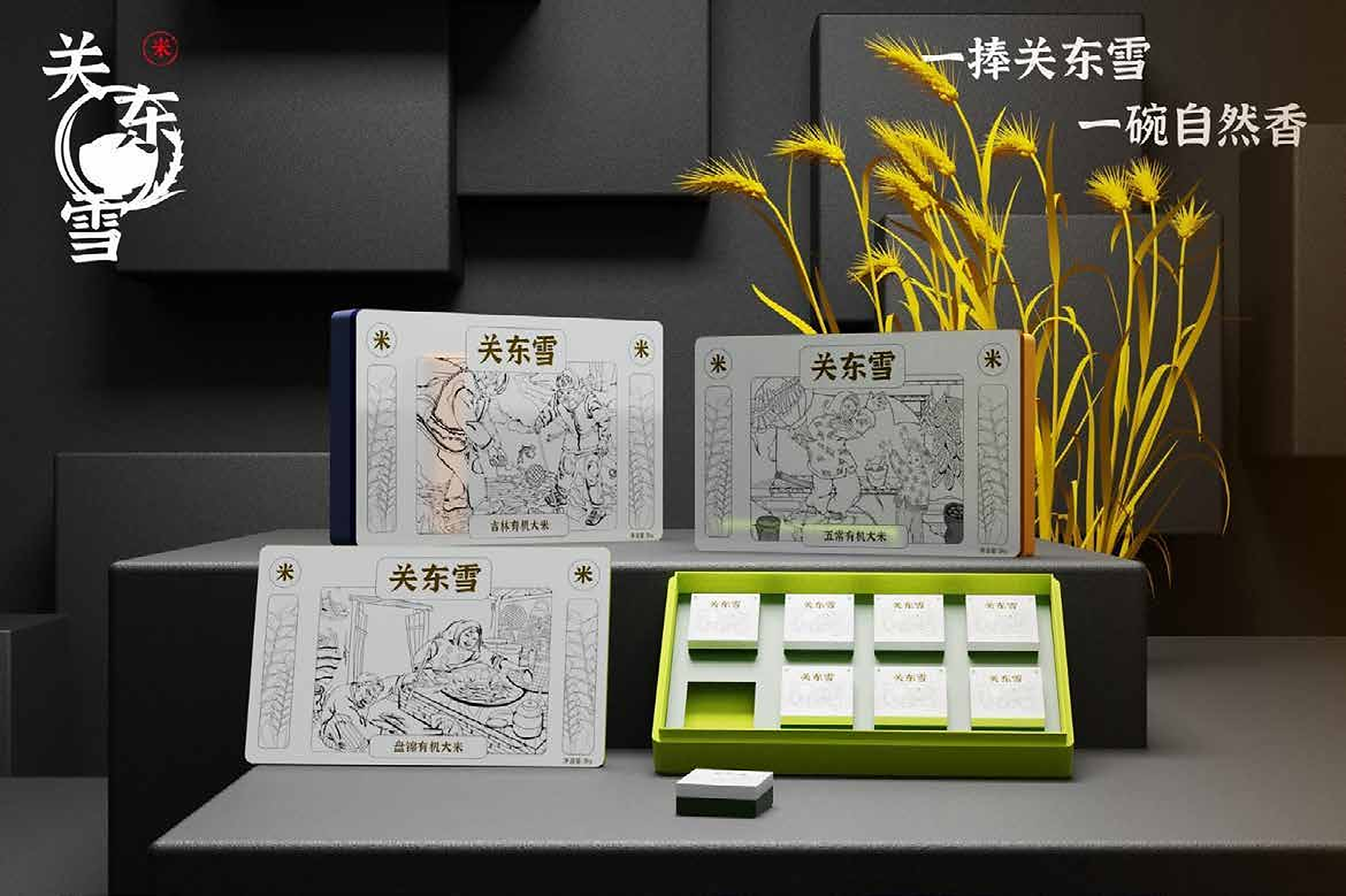 关东雪品牌包装主视觉