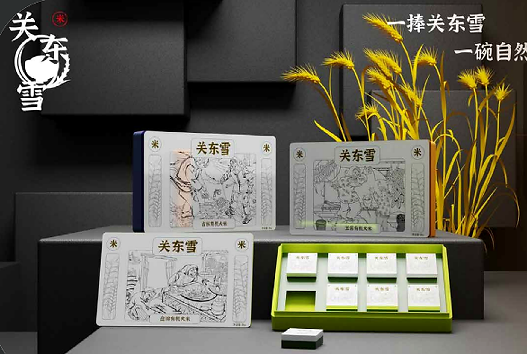 关东雪品牌系列包装设计